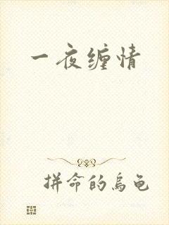 一夜缠情