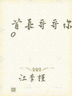 首长哥哥你好po