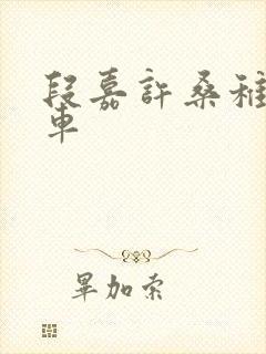 段嘉许桑稚浴室车