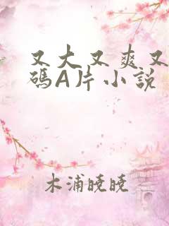 又大又爽又黄无码A片小说