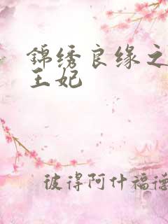 锦绣良缘之北地王妃