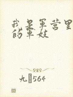 我是军营里万兵的军妓