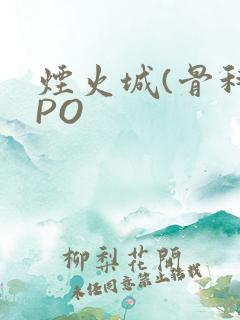 烟火城(骨科)PO