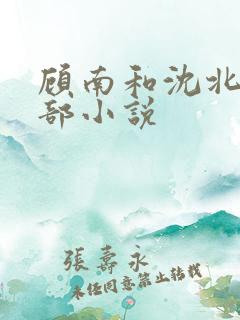 顾南和沈北是哪部小说