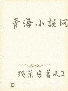 青海小说网