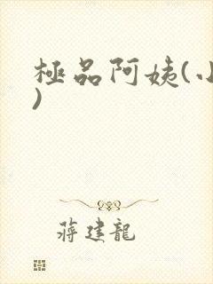 极品阿姨(小说)