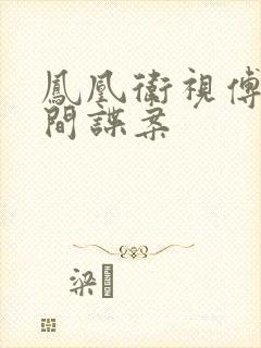 凤凰卫视傅晓田间谍案