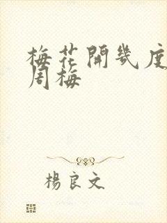 梅花开几度老张周梅