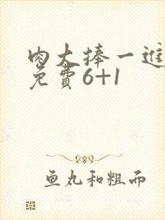 肉大捧一进一出免费6+1