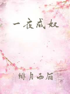 一夜成奴