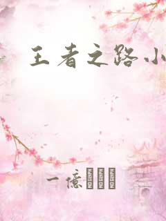 王者之路小说
