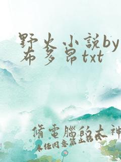 野火小说by夏布多昂txt