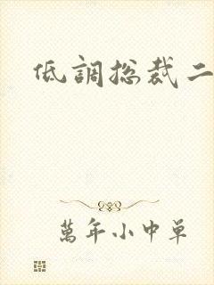 低调总裁二手妻