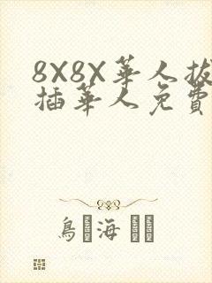 8X8X华人拔插华人免费
