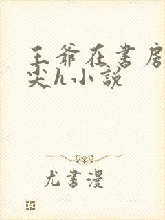 王爷在书房含乳尖h小说