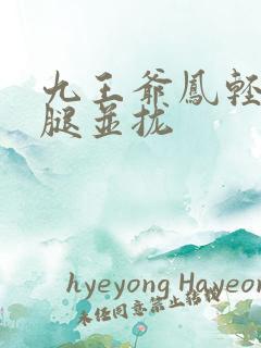 九王爷凤轻尘把腿并拢