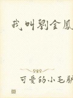 我叫刘金凤下架