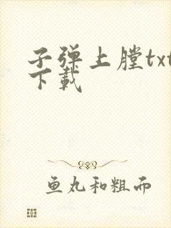 子弹上膛txt下载