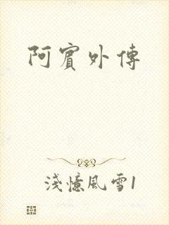 阿宾外传