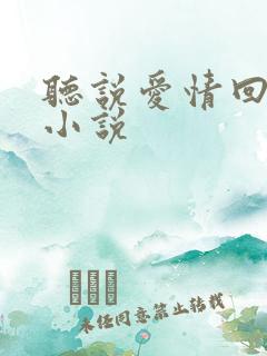 听说爱情回来过小说