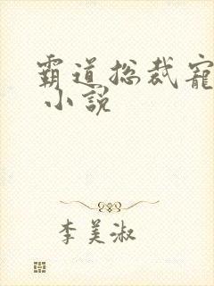 霸道总裁宠上天 小说