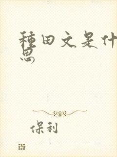 种田文是什么意思