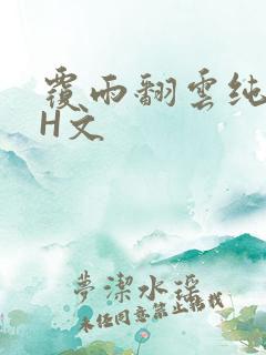 覆雨翻云纯肉高H文