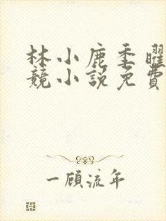 林小鹿季曜珉电竞小说免费阅读