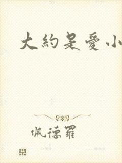 大约是爱小说