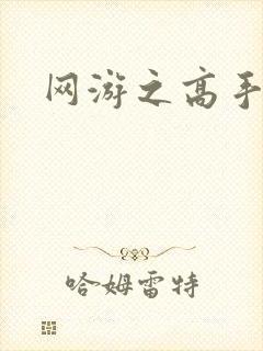 网游之高手寂寞