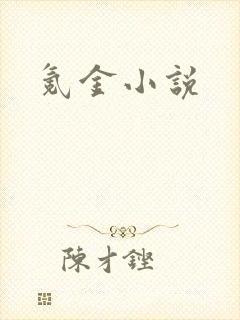 氪金小说