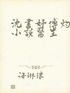 沈书妤傅灼抖音小说医生