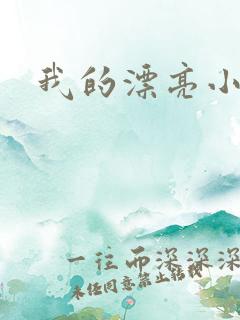 我的漂亮小后妈