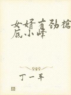 女婿有劲枪枪到底小峰