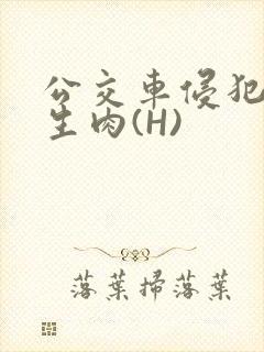 公交车侵犯小男生肉(H)