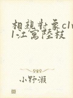 相亲对象c1v1江寓陆枝