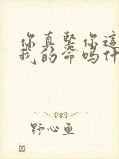 你真紧你这是要我的命吗什么意思