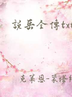 说岳全传txt