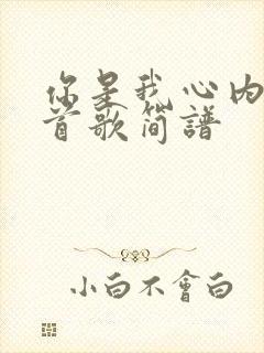 你是我心内的一首歌简谱