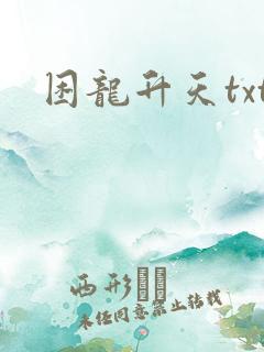 困龙升天txt