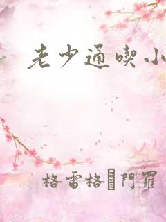 老少通吃小说