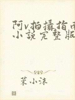 阿v拍摄指南说小说完整版