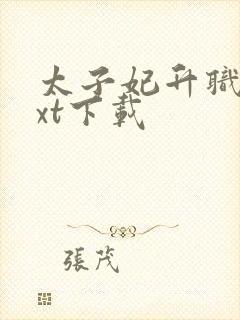 太子妃升职记txt下载