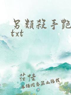 另类杀手艳福星txt