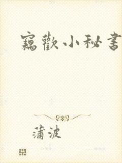 窃欢小秘书