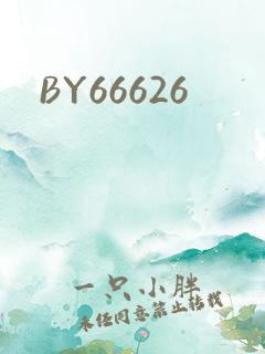 BY66626