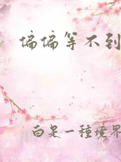 偏偏等不到小说