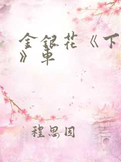 金银花《下厨房》车