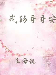 我的哥哥安小天