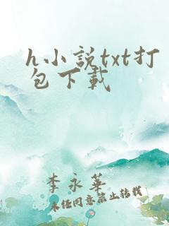 h小说txt打包下载